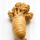 Icon Ginseng